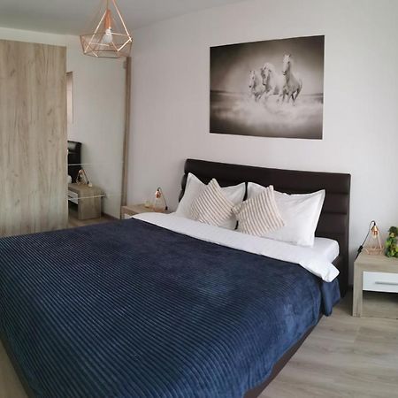 Marimonti Apartment Brasov Bagian luar foto