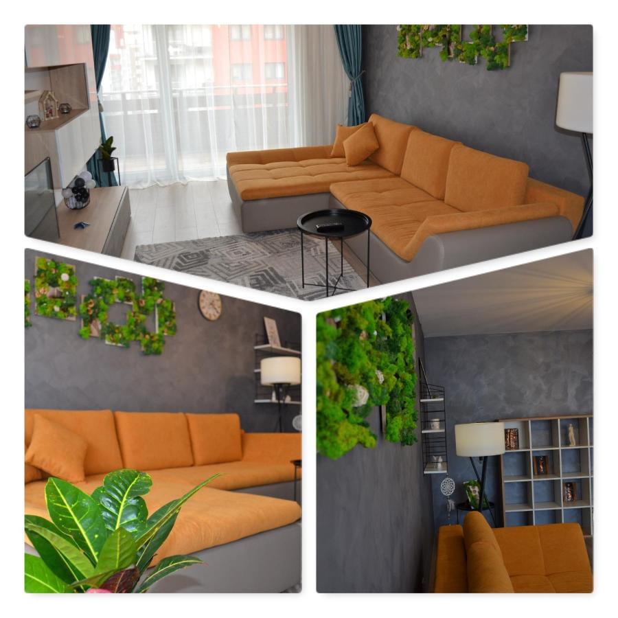 Marimonti Apartment Brasov Bagian luar foto