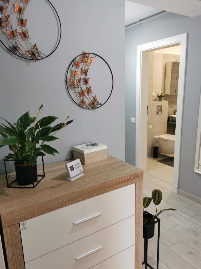 Marimonti Apartment Brasov Bagian luar foto